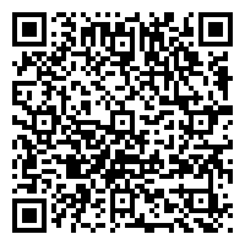 N9 Security Services company profile QR code